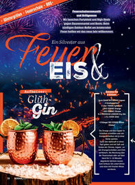 Norma Prospekt Seite 36