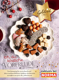 Norma Prospekt Seite 40