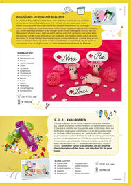 Pagro Diskont Flugblatt Seite 19