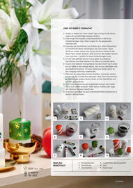 Pagro Diskont Flugblatt Seite 21