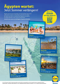 Lidl Flugblatt Seite 4