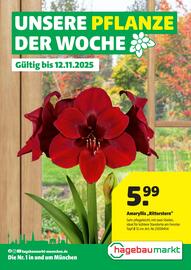 Hagebau Prospekt woche 45 Seite 1