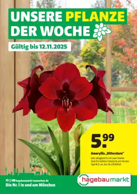 Hagebau Prospekt (gültig bis 13-11)