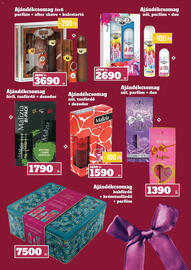 Family Diszkont akciós újság hét 45 Oldal 10