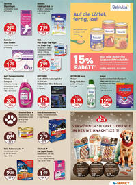 V Markt Prospekt woche 46 Seite 15