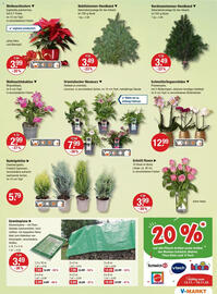 V Markt Prospekt woche 46 Seite 17