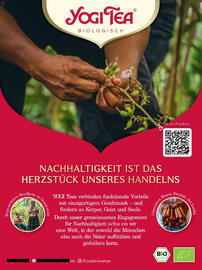 Budni Prospekt Seite 17