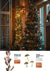 AVA folder Pagina 31