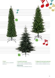 AVA folder Pagina 45