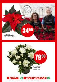 Spar kundeavis Side 17