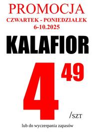 Wizan gazetka Strona 2