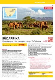 Billa Reisen Flugblatt Seite 17