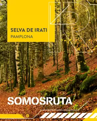 Folleto Rodi (válido hasta el 4-01)