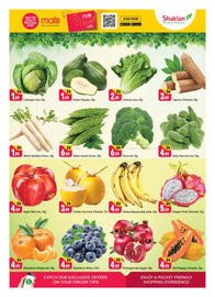 Shaklan leaflet Page 2