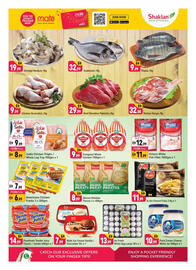 Shaklan leaflet Page 3