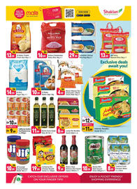 Shaklan leaflet Page 5