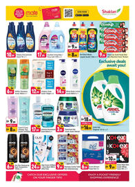 Shaklan leaflet Page 6