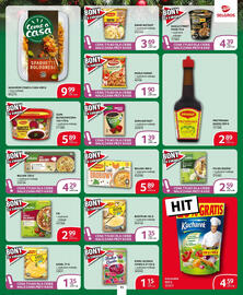 Selgros gazetka Strona 11