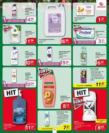 Selgros gazetka Strona 31