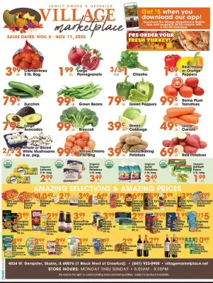 Village Market Food Centers weekly ad (valid until 11-11)
