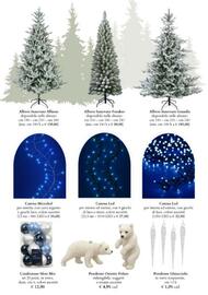 Volantino Giardineria Pagina 13