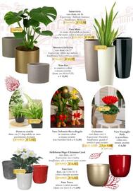 Volantino Giardineria Pagina 17