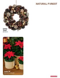 Catálogo Bauhaus Página 21