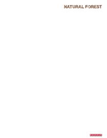 Catálogo Bauhaus Página 37