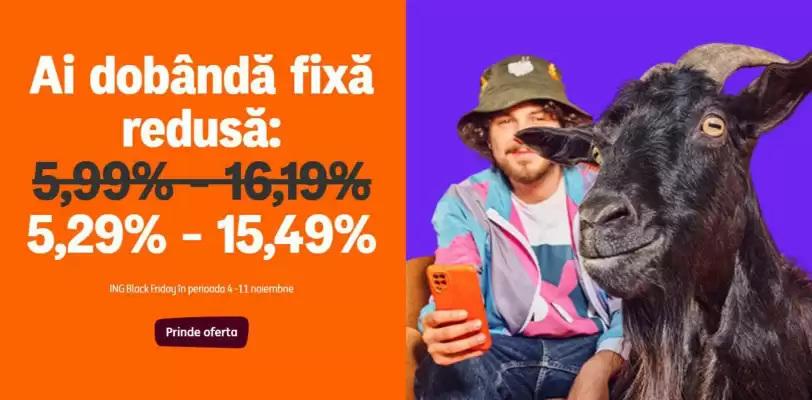 Catalog ING Bank (valid până la 11-11)