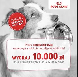 Catalog Royal Canin Pagină 1