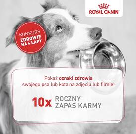 Catalog Royal Canin Pagină 2