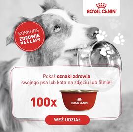 Catalog Royal Canin Pagină 3