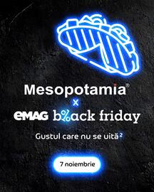 Catalog Mesopotamia săptămâna 45 Pagină 1