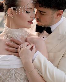 Catalog Teilor Pagină 1