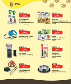 Kakadu gazetka Strona 2