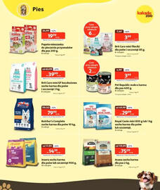 Kakadu gazetka Strona 3