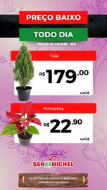 Catálogo San Michel Supermercados semana 45 Página 10