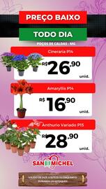 Catálogo San Michel Supermercados semana 45 Página 2