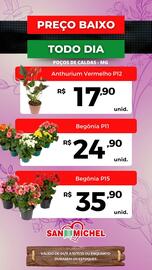 Catálogo San Michel Supermercados semana 45 Página 3