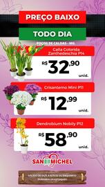 Catálogo San Michel Supermercados semana 45 Página 4