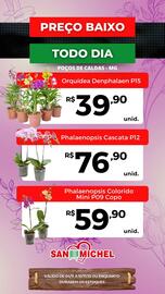 Catálogo San Michel Supermercados semana 45 Página 7