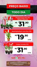 Catálogo San Michel Supermercados semana 45 Página 8