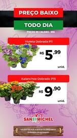 Catálogo San Michel Supermercados semana 45 Página 9