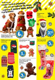 Volantino Tedi Pagina 32