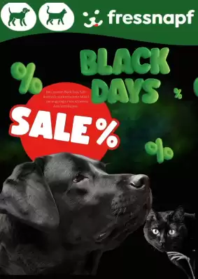 Fressnapf Prospekt (gültig bis 1-12)