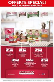 Volantino Maxi Supermercati Pagina 13