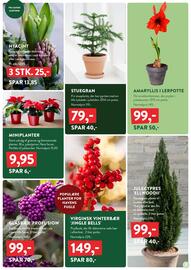 Plantorama tilbudsavis Side 7