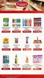 Catálogo Supermercados Romanini Página 5