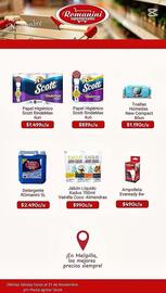 Catálogo Supermercados Romanini Página 6
