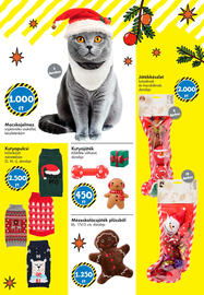 Tedi katalógus Oldal 32